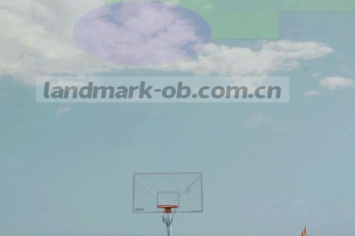 近十个赛季胜率趋势折线图